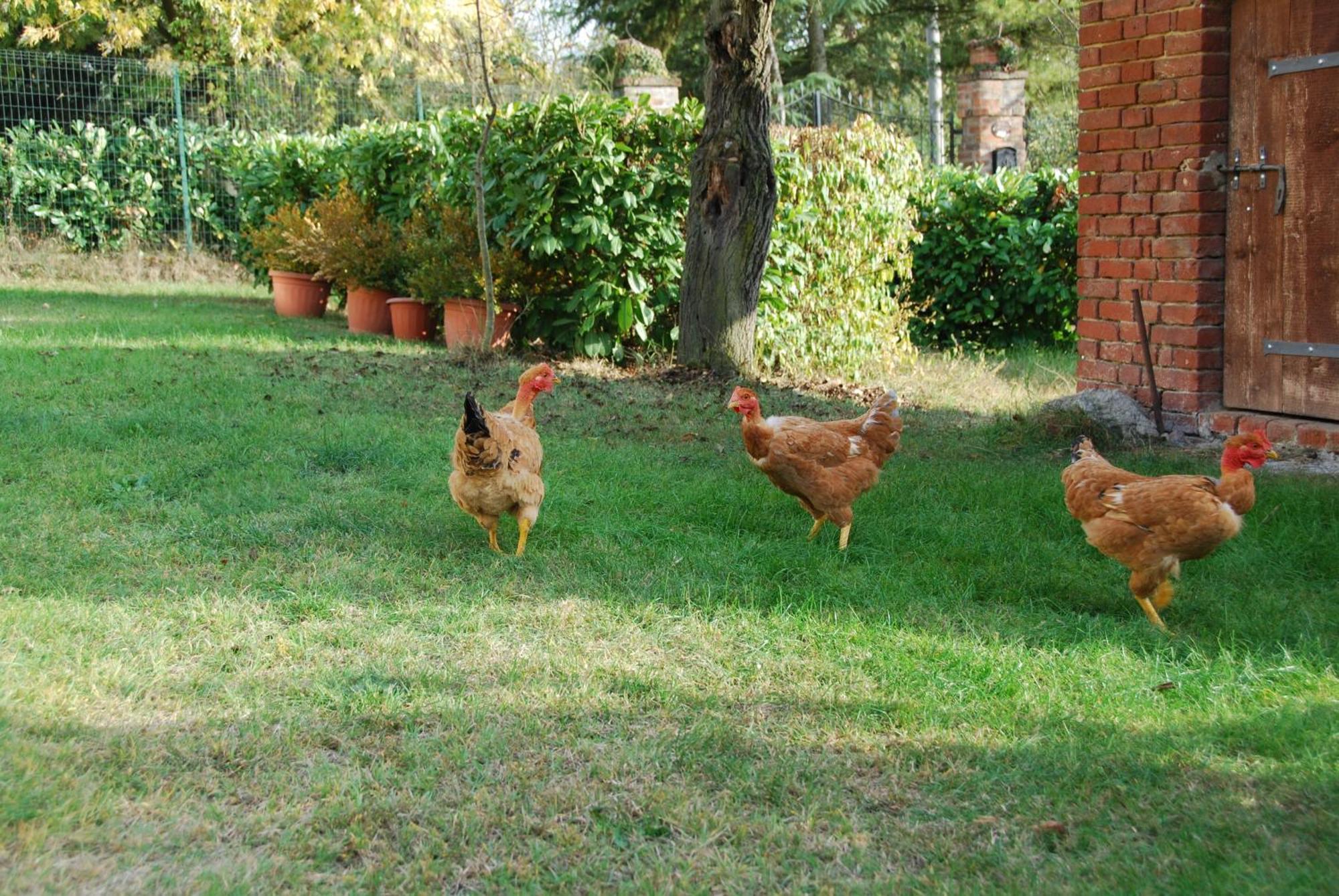 B&B Cascina Bricchetto Asti Extérieur photo